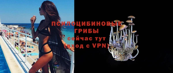 прущие крисы Надым