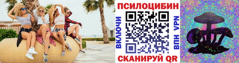 Псилоцибиновые грибы Psilocybe  как найти закладки  Козловка 